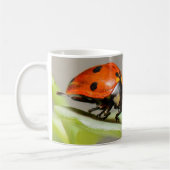 Lady Bugs White Coffee Tasse (Links)