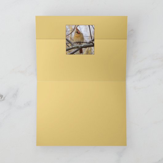 Lady C Karte (Innenseite)