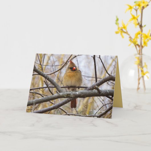 Lady C Karte (Gelbe Blume)