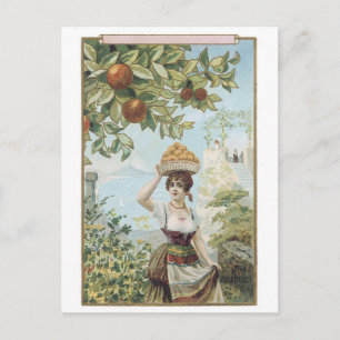 Lady Carry Fruit Postkarte