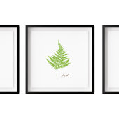 Lady Fern Illustration | Fern-Serie Poster