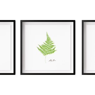 Lady Fern Illustration   Fern-Serie Poster