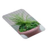Lady Fern und Wild Ginger Magnet (Rechte Seite)