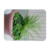 Lady Fern und Wild Ginger Magnet (Horizontal)