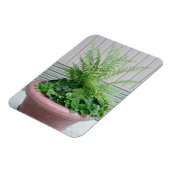 Lady Fern und Wild Ginger Magnet (Linke Seite)