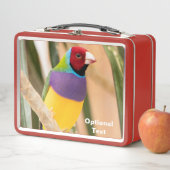 Lady Gouldian Finch Metall Brotdose (Beispiel)