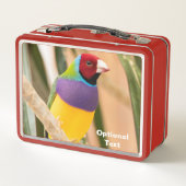 Lady Gouldian Finch Metall Brotdose (Rückseite)