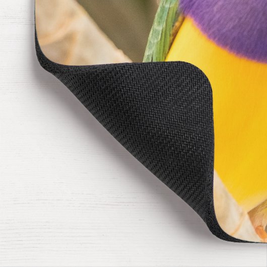 Lady Gouldian Finch Mousepad (Ecke)