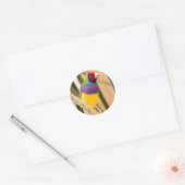 Lady Gouldian Finch Runder Aufkleber (Umschlag)