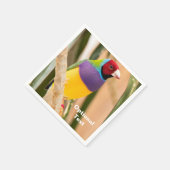 Lady Gouldian Finch Serviette (Ecke)