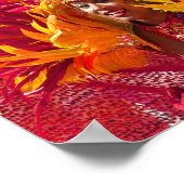 Lady im Karneval Poster (Ecke)