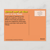 Lady im Mond Postkarte (Rückseite)