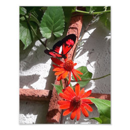 Lady in Red Limited Edition Fotodruck