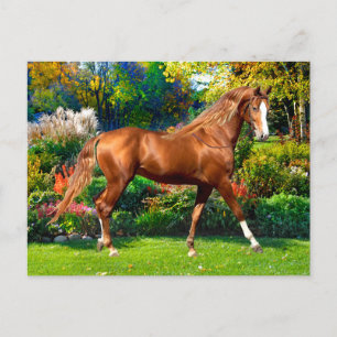 "Lady Jane" Postkarte