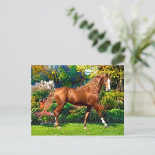 Lady Jane Postkarte (Stehend Vorderseite)