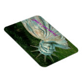 Lady Liberty nimmt Break - Foto Magnet (Rechte Seite)