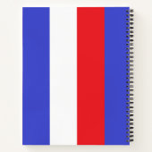 Lady Liberty on Blue Red White Stripes Notebook Notizblock (Rückseite)