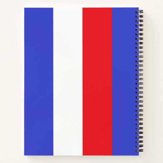 Lady Liberty on Blue Red White Stripes Notebook Notizblock (Rückseite)