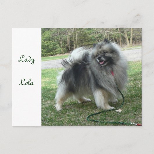 Lady Lola Postcard Postkarte (Vorderseite)