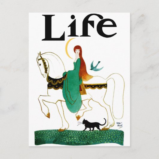 "LADY LUCK" REITPFERD POSTKARTE (Vorderseite)