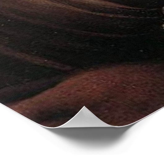 Lady mit Schleier Poster (Ecke)