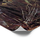 Lady of Shalott Canvas Print Poster (Ecke)