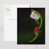 Lady of the Valley Postkarte (Vorne/Hinten)