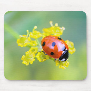 lady on top mousepad