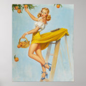 Lady Picking Peaches Pinup Poster (Vorne)