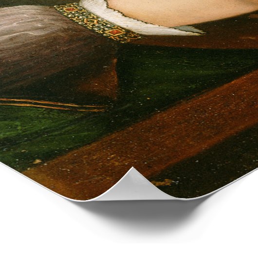 Lady Playing a Lute Poster (Ecke)