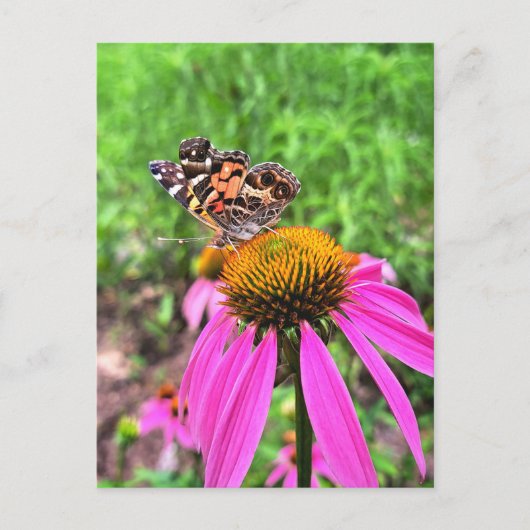 Lady Postkarte (Vorderseite)