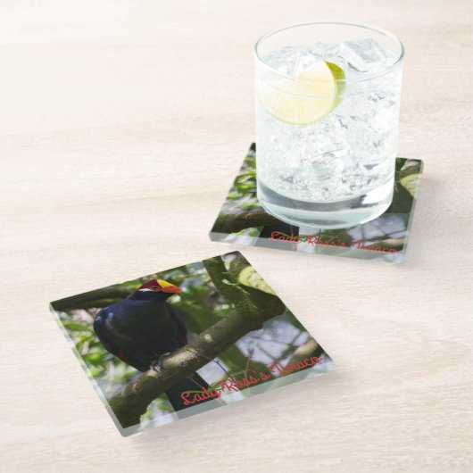 Lady Ross's Turaco Glasuntersetzer (Schrägansicht)