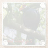 Lady Ross's Turaco Glasuntersetzer (Rückseite)