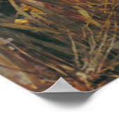 Lady Shalott 1888 Poster (Ecke)