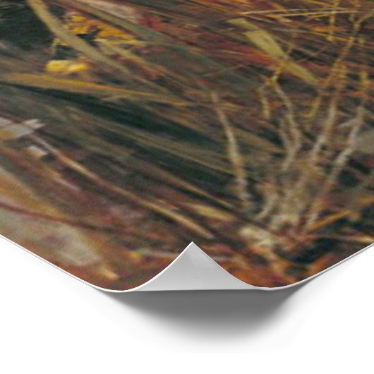 Lady Shalott 1888 Poster (Ecke)