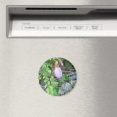 Lady Slipper 2 Magnet (In Situ (Geschirrspüler))