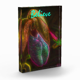 Lady Slipper glaubt inspirierende Worte Fotoblock