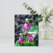 Lady Slipper I, Pink Green Garden Delight Postkarte (Stehend Vorderseite)