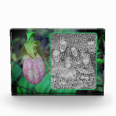 Lady Slipper Orchid Erstellen Sie Ihre eigene Fotoblock (Vorderseite)