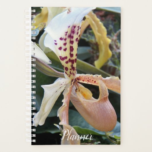 Lady Slipper Orchid Floral Planer (Vorderseite)