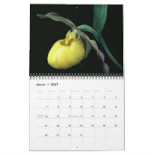 Lady Slipper Orchid Flowers Kalender (Mär 2027)