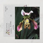 Lady Slipper Orchid Postkarte (Vorne/Hinten)