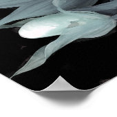 Lady Slipper Orchid - Print Poster (Ecke)