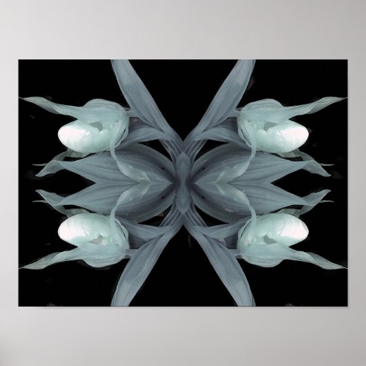 Lady Slipper Orchid - Print Poster (Vorne)
