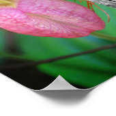 Lady Slipper Orchid Rahmen hinzufügen Ihr Foto Poster (Ecke)