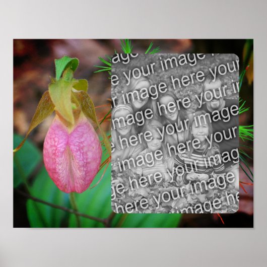 Lady Slipper Orchid Rahmen hinzufügen Ihr Foto Poster (Vorne)