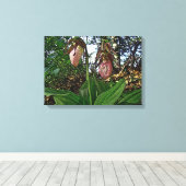 Lady Slipper Orchid Wildblume Leinwanddruck (Insitu (Holzboden))
