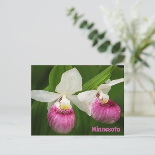 Lady Slipper Postcard Postkarte (Stehend Vorderseite)