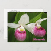 Lady Slipper Postcard Postkarte (Vorne/Hinten)