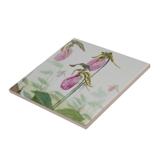 Lady Slipper Trivit Fliese (Seite)